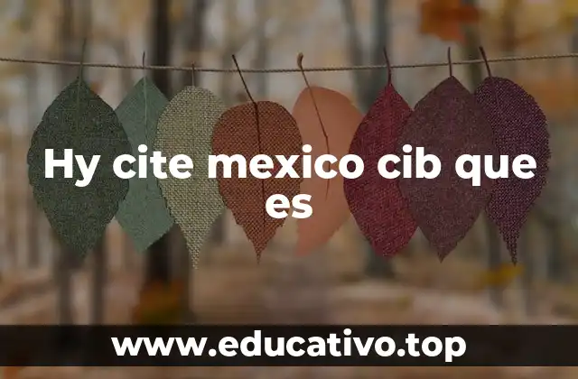 Hy cite mexico cib que es