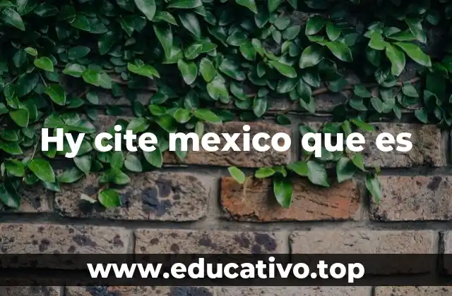 Hy cite mexico que es