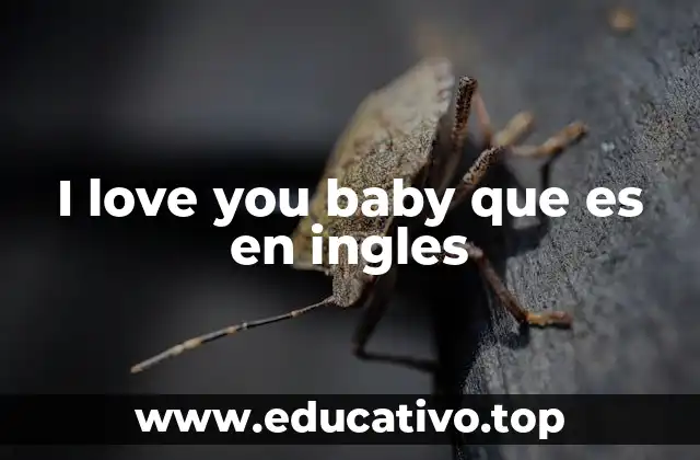 I love you baby que es en ingles