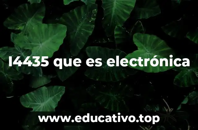 I4435 que es electrónica