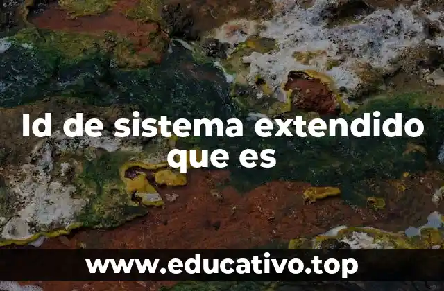 Id de sistema extendido que es