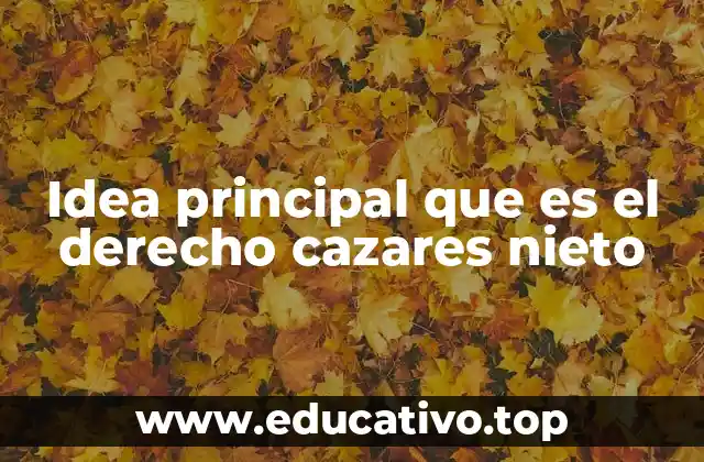 Idea principal que es el derecho cazares nieto