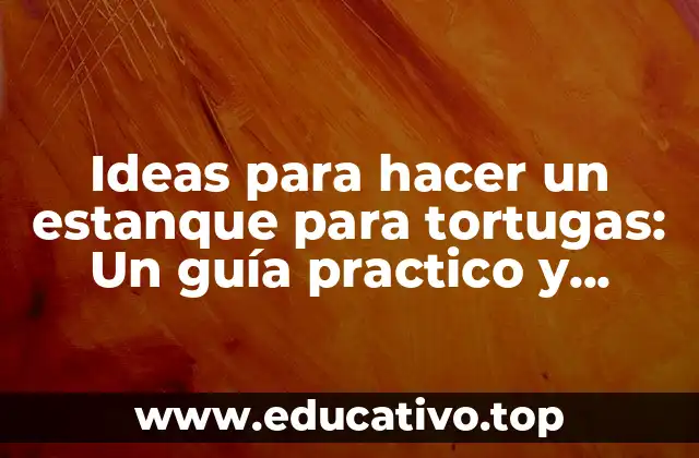 Ideas para hacer un estanque para tortugas: Un guía practico y completo