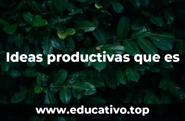 Ideas productivas que es