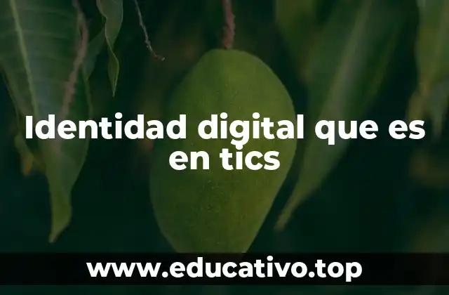 Identidad digital que es en tics