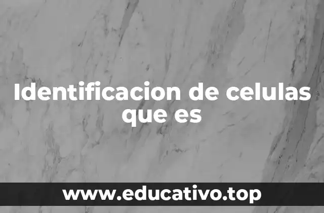 Identificacion de celulas que es