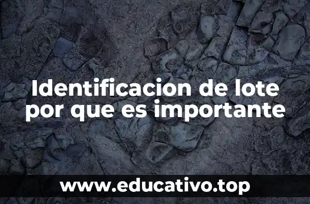 Identificacion de lote por que es importante