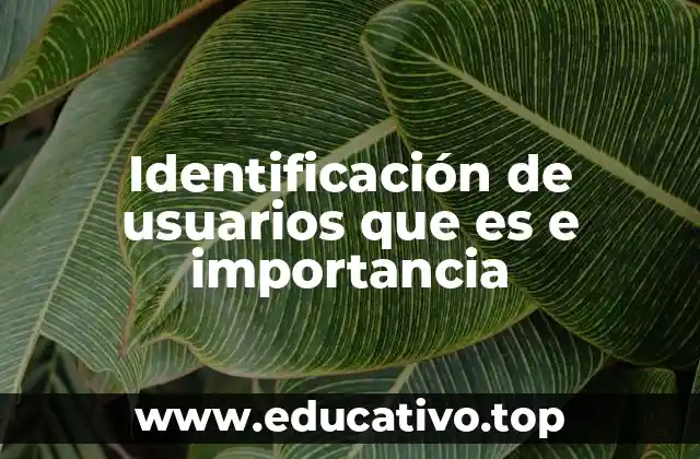 Identificación de usuarios que es e importancia