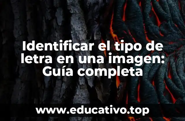 Identificar el tipo de letra en una imagen: Guía completa