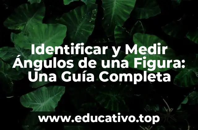 Identificar y Medir Ángulos de una Figura: Una Guía Completa