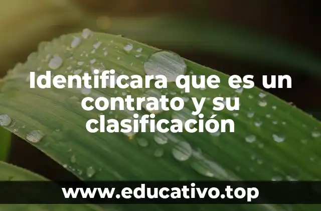 Identificara que es un contrato y su clasificación