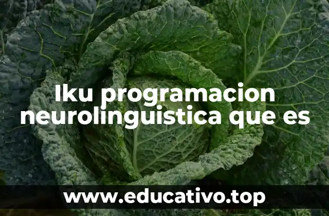 Iku programacion neurolinguistica que es