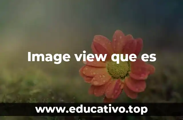 Image view que es