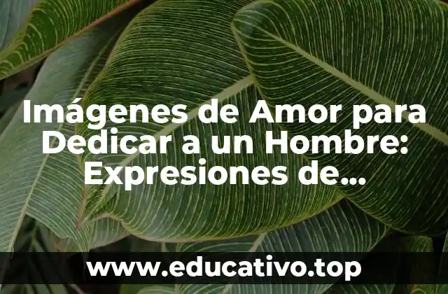 Imágenes de Amor para Dedicar a un Hombre: Expresiones de Sentimiento