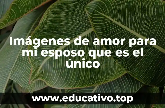 Imágenes de amor para mi esposo que es el único