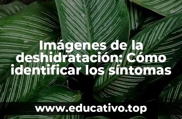 Imágenes de la deshidratación: Cómo identificar los síntomas