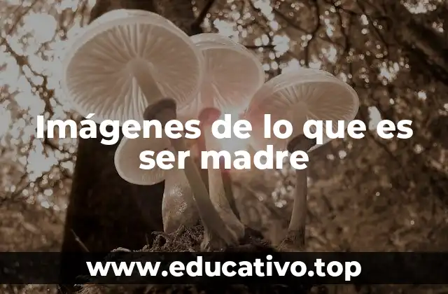 Imágenes de lo que es ser madre