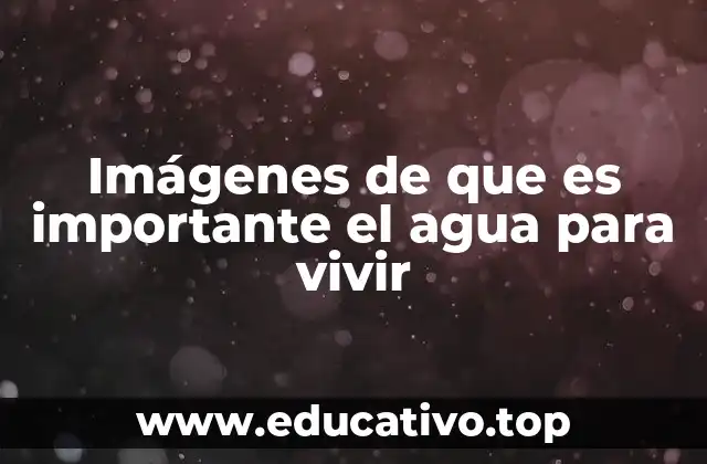 Imágenes de que es importante el agua para vivir