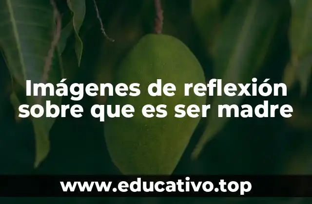 El poder emocional de la maternidad representado en imágenes