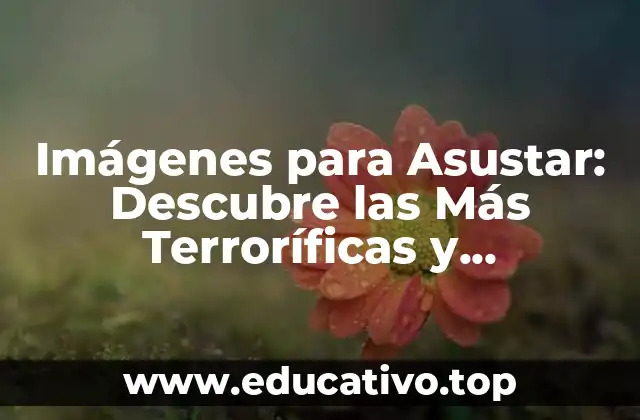 Imágenes para Asustar: Descubre las Más Terroríficas y Aterradoras