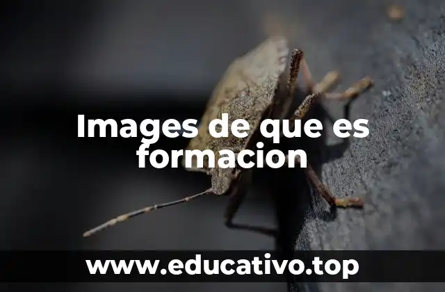 Images de que es formacion