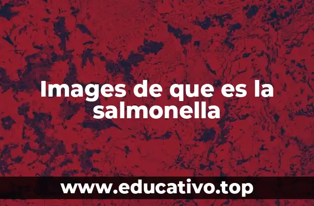 Images de que es la salmonella