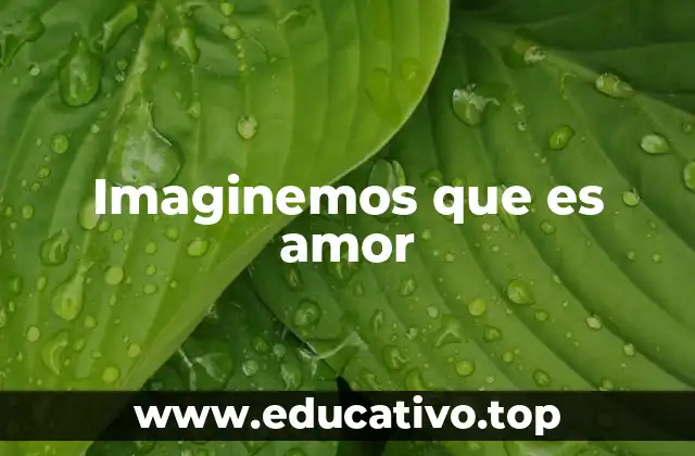 Imaginemos que es amor