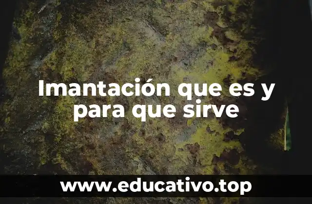 Imantación que es y para que sirve