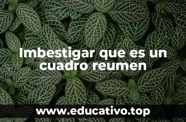 Imbestigar que es un cuadro reumen