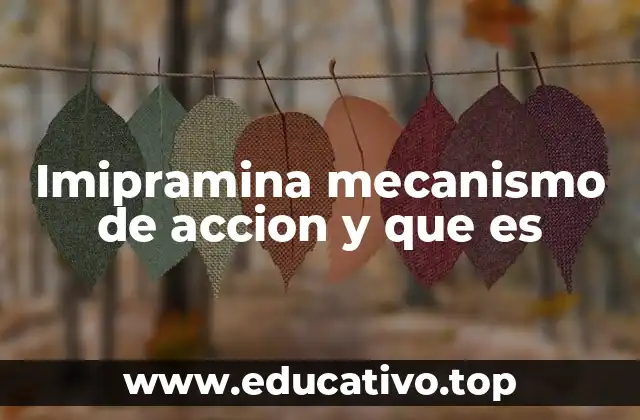 Imipramina mecanismo de accion y que es