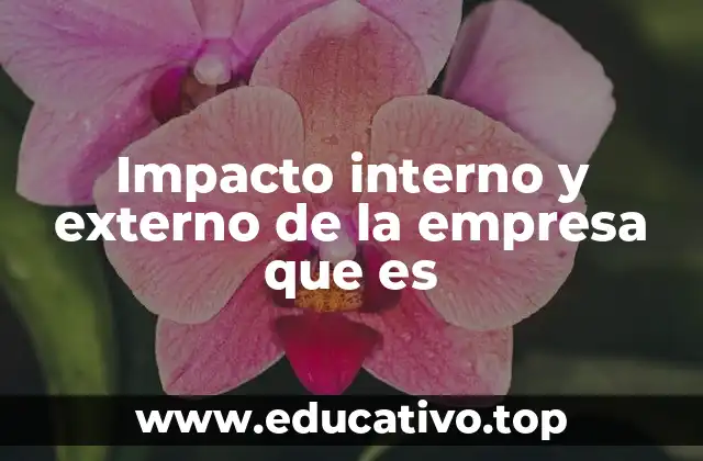 Cómo los impactos internos y externos reflejan la salud de una empresa