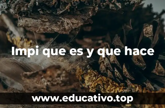 Impi que es y que hace