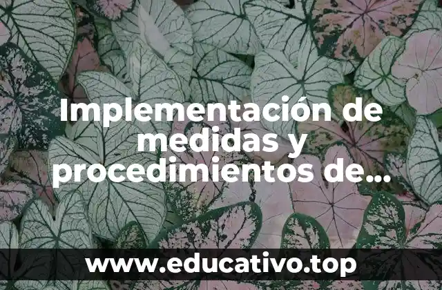 Implementación de medidas y procedimientos de seguridad laboral que es