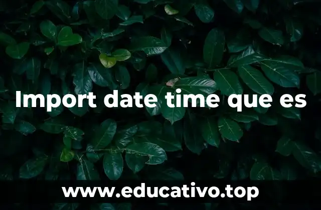Import date time que es