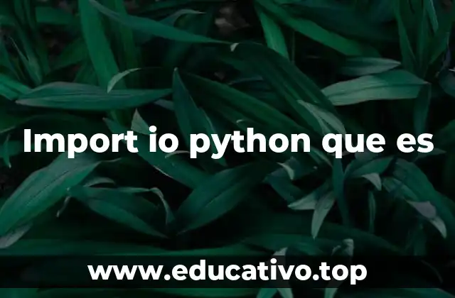 Import io python que es