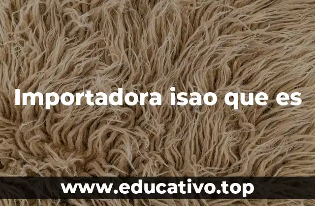 Importadora isao que es