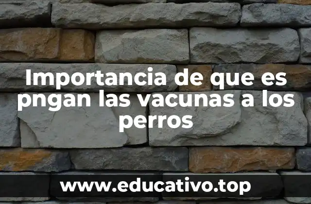 La salud preventiva en mascotas y su impacto en la calidad de vida