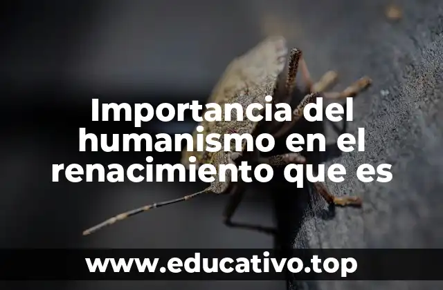 Importancia del humanismo en el renacimiento que es