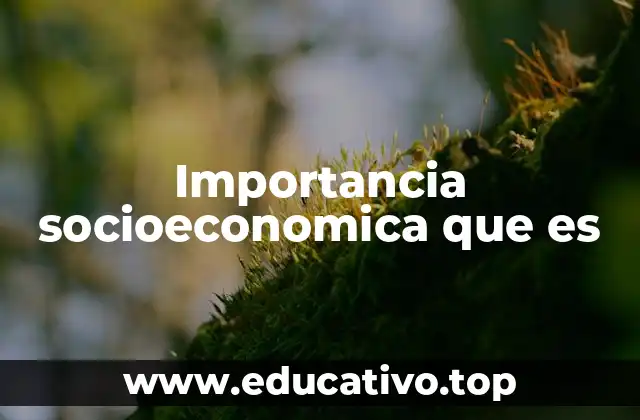 Importancia socioeconomica que es