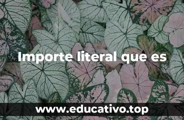 Importe literal que es