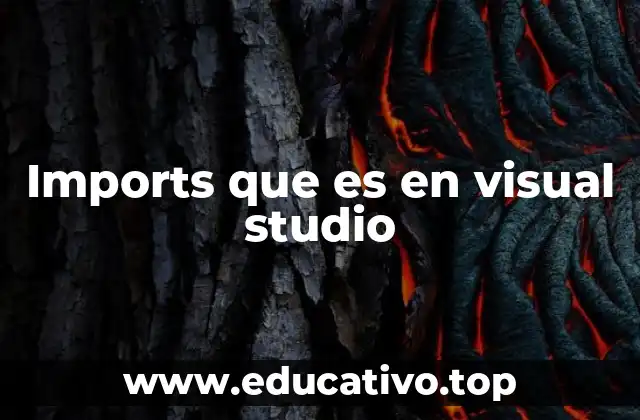 Imports que es en visual studio