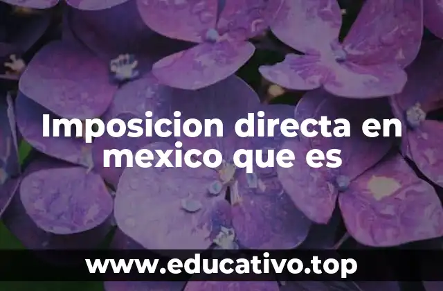 Imposicion directa en mexico que es