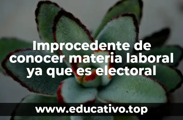 Improcedente de conocer materia laboral ya que es electoral