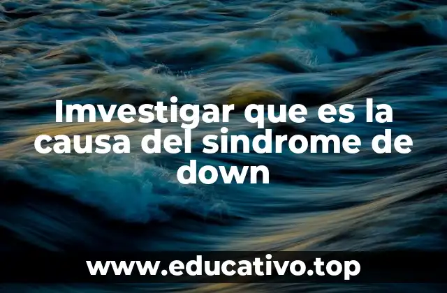 Imvestigar que es la causa del sindrome de down