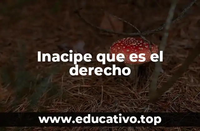 El papel del INACIPE en la modernización del sistema penal