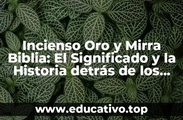 Incienso Oro y Mirra Biblia: El Significado y la Historia detrás de los Regalos de los Reyes Magos