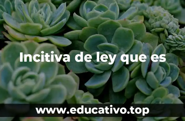 Incitiva de ley que es