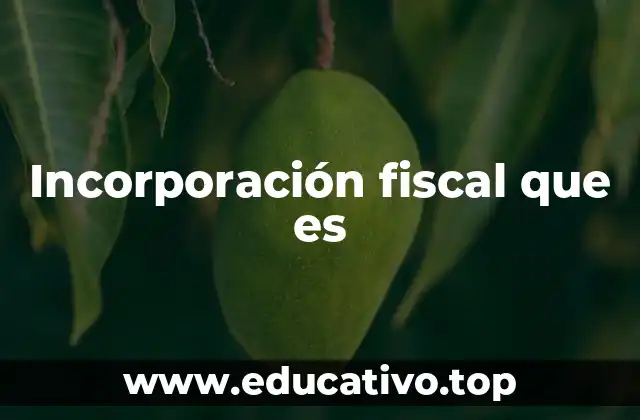 Incorporación fiscal que es