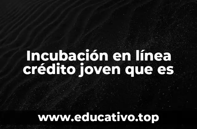 Cómo se integran el emprendimiento digital y el apoyo financiero