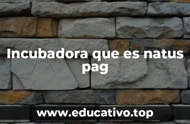 La importancia de los equipos médicos en la asistencia neonatal